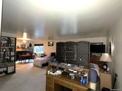 16 Scenic Dr unit S, Croton Hudson, NY 10520 - photo 4