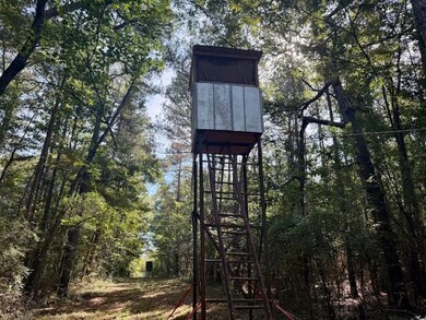 325 Beartown Rd, Jayess, MS 39641 - photo 5