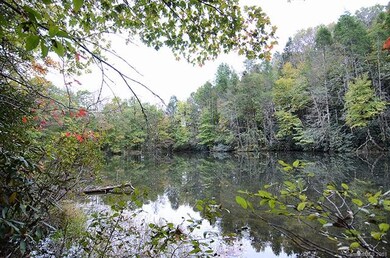 Community Lake/Pond