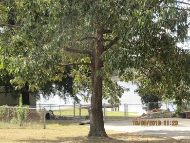 Jackson Road Lake Views (2)