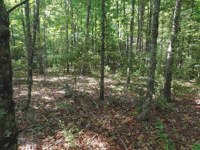 TBD Nursery Rd, Laurel Fork, VA 24352 - photo 3