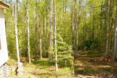 Wooded walking trail trough back yard.