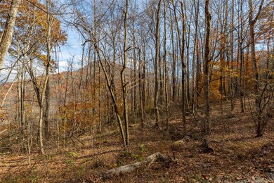 107 Vistawilla Dr, Glenville, NC 28736 - photo 6