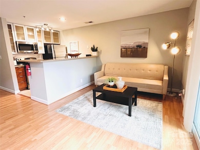 505 N Graham St unit 2G, Charlotte, NC 28202 - photo 3