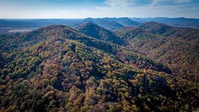 CR185 Camilla Springs, Glenwood, AR 71943 - photo 3