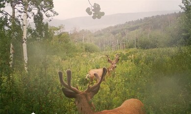 55966 Hannahs Way, Clark, CO 80428 - photo 6