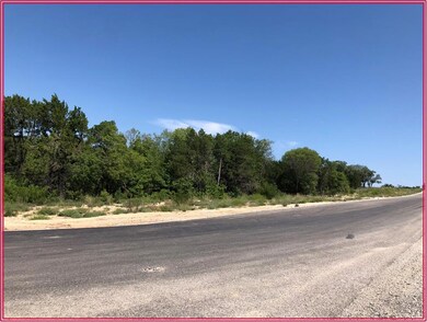 256 Eagles Ridge Ct, Weatherford, TX 76087 - photo 5