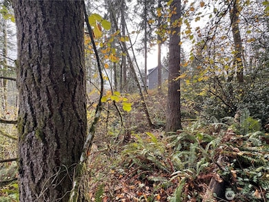 1618 Maple Valley Dr, Centralia, WA 98531 - photo 7