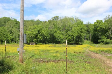 144 Hurricane Creek Dr, Tennessee Ridge, TN 37178 - photo 7