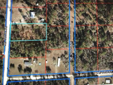 0 NE 120th Ave unit OM634814, Williston, FL 32696 - photo 2