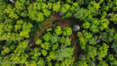 dji_fly_20240813_143702_154_172360823093