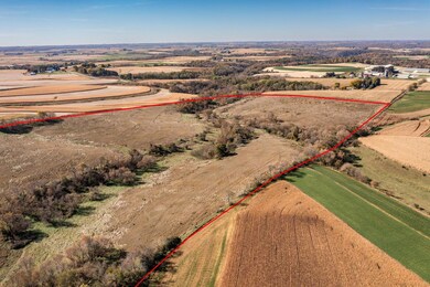 TBD T-172, Caledonia Township, MN 55921 - photo 2