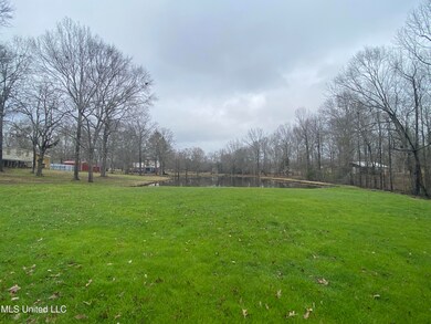 735 Highway 468, Brandon, MS 39042 - photo 6