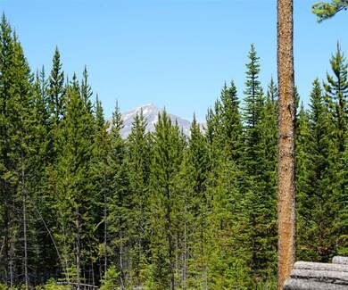 TBD Beaver Creek W, Big Sky, MT 59716 - photo 4