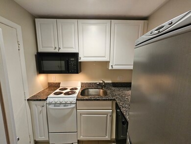 15-17 University Rd unit 26, Brookline, MA 02445 - photo 6