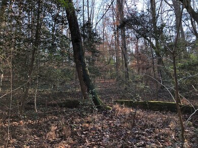 0 New Kent Hwy unit 2203199, New Kent, VA 23141 - photo 5