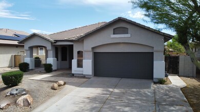 Joshua tree front photo