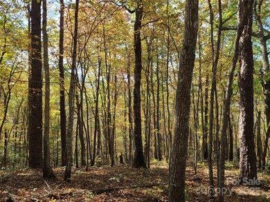 Tracts 2A & 2B Rabbit Skin Rd, Waynesville, NC 28785 - photo 7