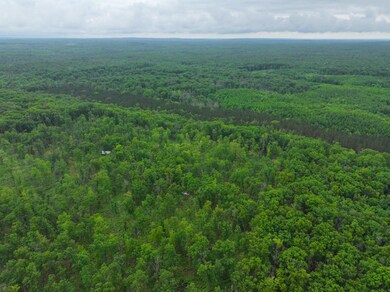 DJI_20250618155534_0647_D
