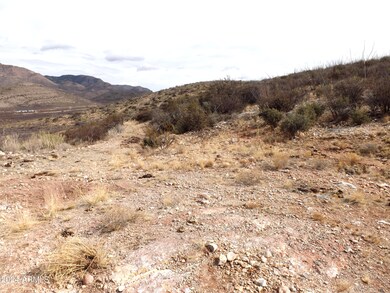 Red Mountain lot 1 02