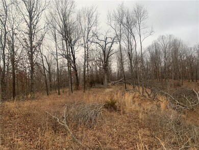 0 Logan Cave 5 Acres + - Rd unit 1173991, Siloam Springs, AR 72761 - photo 4