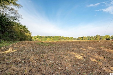 00 E State Line Rd, Hazel, KY 42049 - photo 5