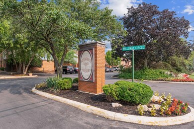 30-DSC06126