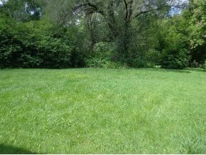 Yard from back of the house