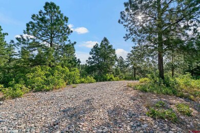 1102 Sheep Springs, Durango, CO 81301 - photo 4