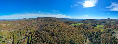 TBD Eastside Duck Mountain Rd, Scaly Mountain, NC 28775 - photo 6