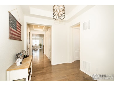 14165 Grape St, Thornton, CO 80602 - photo 7