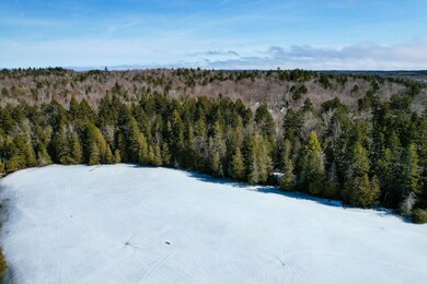 The Cove