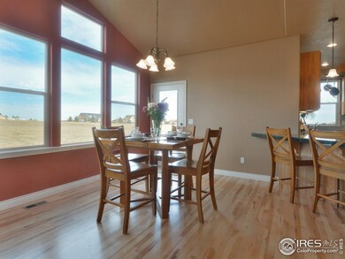 Dining, Lots of Light