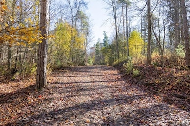 9881+9937 Larkin Rd, Eden, NY 14057 - photo 6