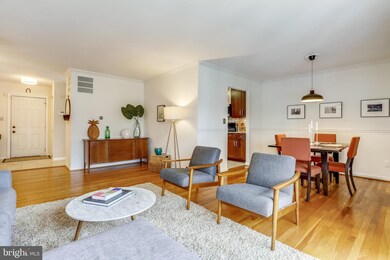 1504 Northcrest Dr, Silver Spring, MD 20904 - photo 5