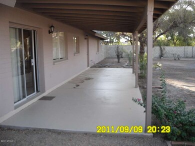 BACK YARD