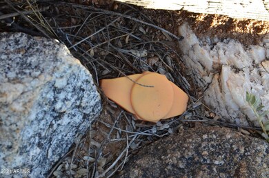 TBD E Adams Ranch Rd, Dragoon, AZ 85609 - photo 7