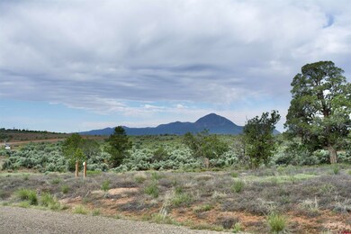 Lot 16 Road K 3, Cortez, CO 81321 - photo 4