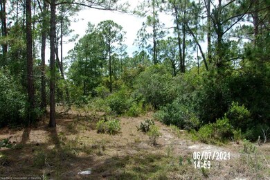 496 Dreamland Dr, Lake Placid, FL 33852 - photo 5