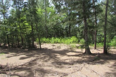 5351 Cubles Dr, Bokeelia, FL 33922 - photo 4