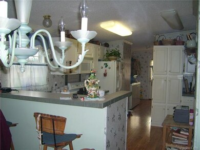 54 Frank Lawson Ln, Leicester, NC 28748 - photo 5