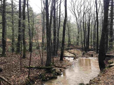 0 Mongold Hollow Rd, Mathias, WV 26812 - photo 4