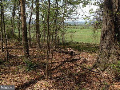 PARCEL 44 Hoffmaster Rd, 11, Sandy Hook, MD 21758 - photo 4