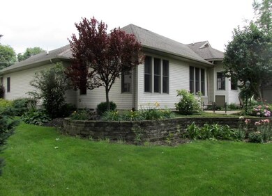 BACK VIEW