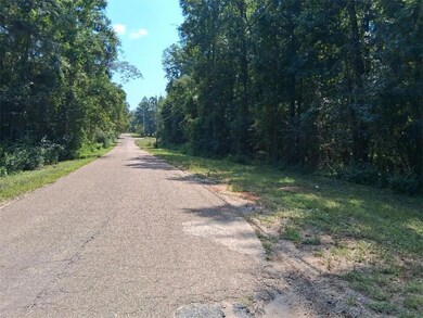 0 Alma Dr, Wilmer, AL 36587 - photo 4