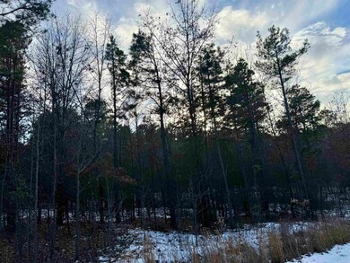 295 Greene 7502 Rd, Paragould, AR 72450 - photo 3