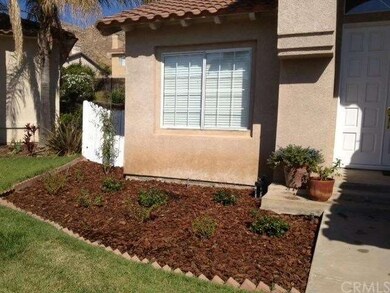 New landscaping in front yard