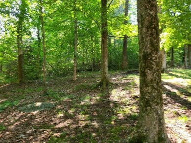 3176 Dixie Bend Rd, Burnside, KY 42519 - photo 5