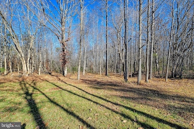 589 Three Chopt Rd, Kents Store, VA 23084 - photo 5