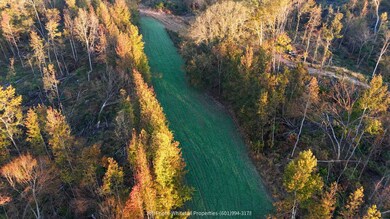 TBD Rodney Rd, Port Gibson, MS 39150 - photo 2